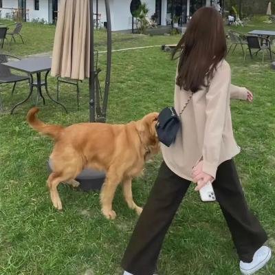 妈的人生愿望