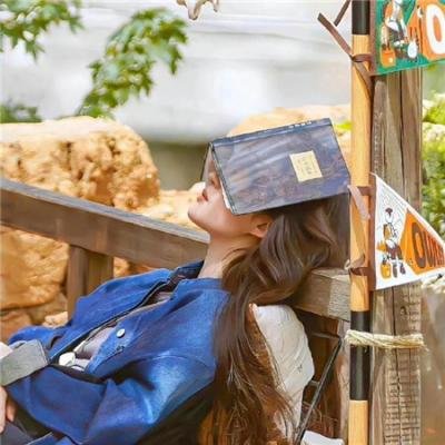 黑暗时代之无证妓女